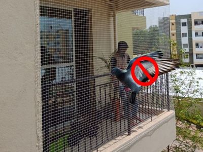 Pigeon Nets Fixing Price/Cost in Bangalore