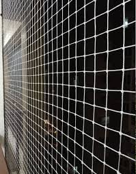 Bird and Pigeon Control Spikes in Bangalore